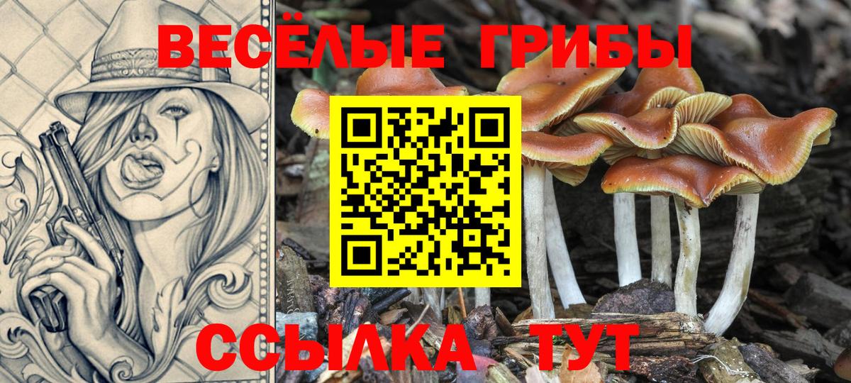 Меф кристаллы  ГАШ  Вход с VPN  МДМА  Вейп ТГК  Кинель  АМФЕТАМИН кристаллы  Мефедрон  Экстази  Марихуана 