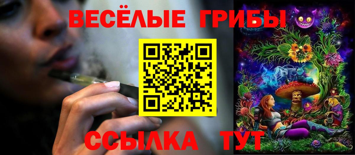 Псилоцибиновые грибы прущие грибы  Вход с VPN  Кинель 